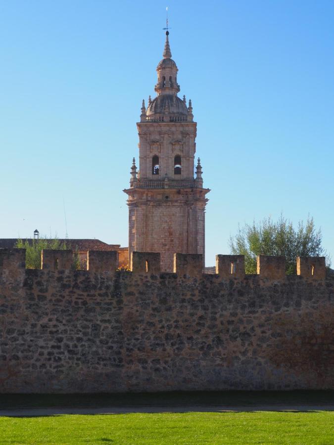 La Casona Del Zoilo -Los Arenales- El Burgo De Osma Luaran gambar