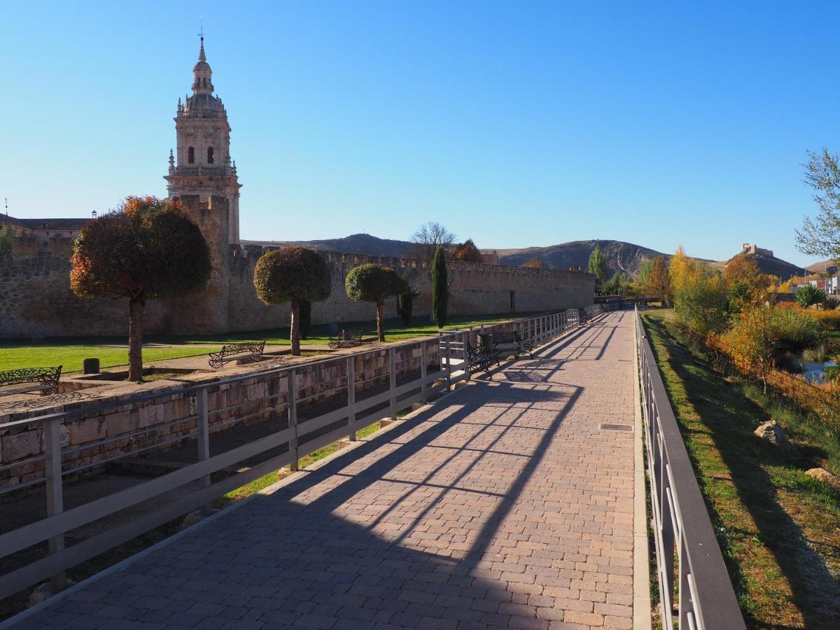 La Casona Del Zoilo -Los Arenales- El Burgo De Osma Luaran gambar